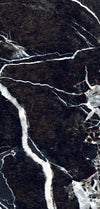 Vein Black <br> (60x120)